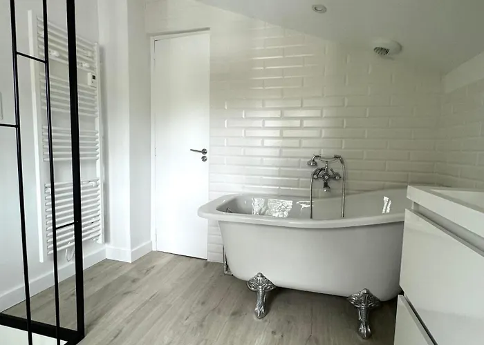 Villa Basquaise Avec Piscine *